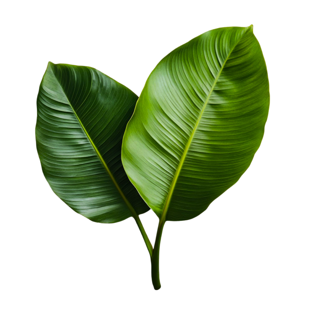 HoneyFil botanical leaf decoration